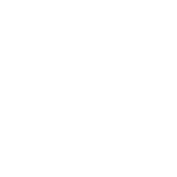 Minecraft icon